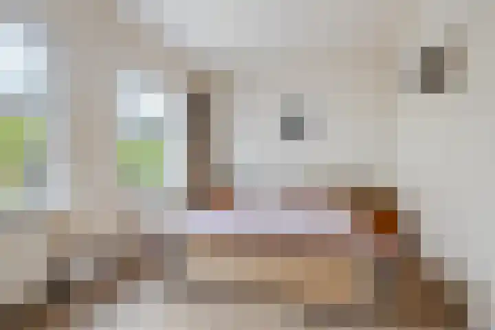 Muiderkring 9 Etten-Leur thumbnail 20