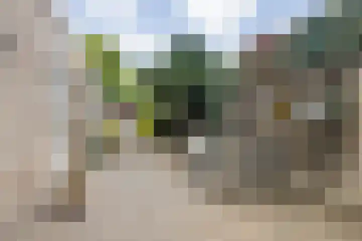 Muiderkring 9 Etten-Leur thumbnail 25