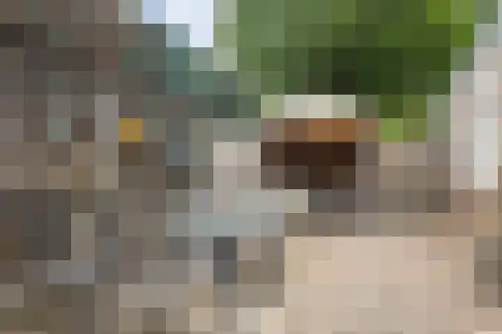 Muiderkring 9 Etten-Leur thumbnail 26
