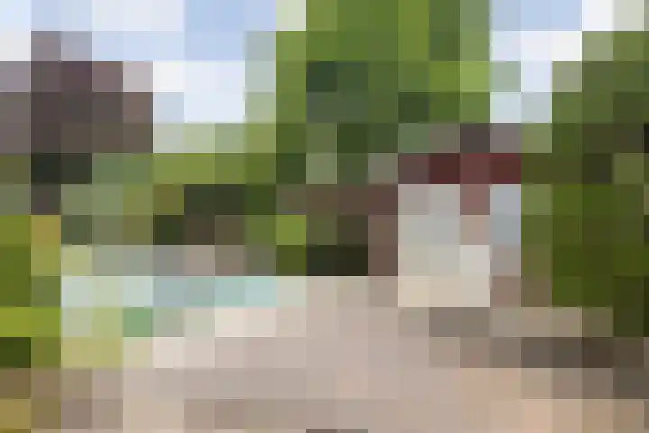 Muiderkring 9 Etten-Leur thumbnail 27