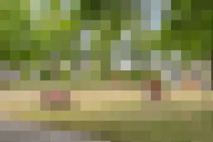Muiderkring 9 Etten-Leur thumbnail 33