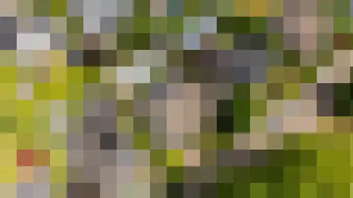 Muiderkring 9 Etten-Leur thumbnail 35