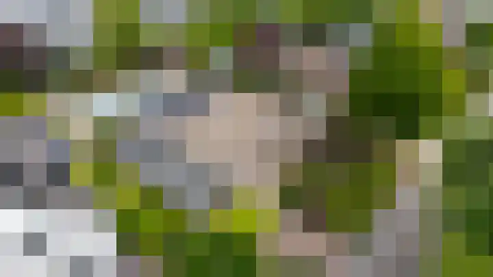 Muiderkring 9 Etten-Leur thumbnail 40