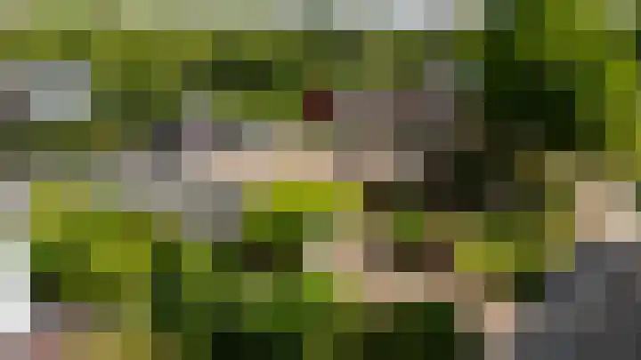 Muiderkring 9 Etten-Leur thumbnail 42
