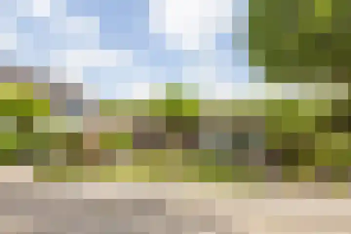Muiderkring 9 Etten-Leur thumbnail 44