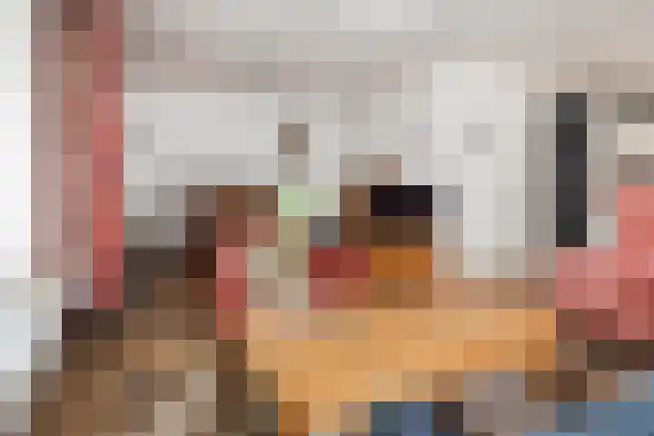 Muiderkring 9 Etten-Leur thumbnail 8