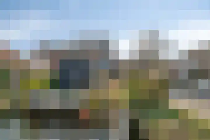 Muiderlaan 355 Amsterdam thumbnail 11