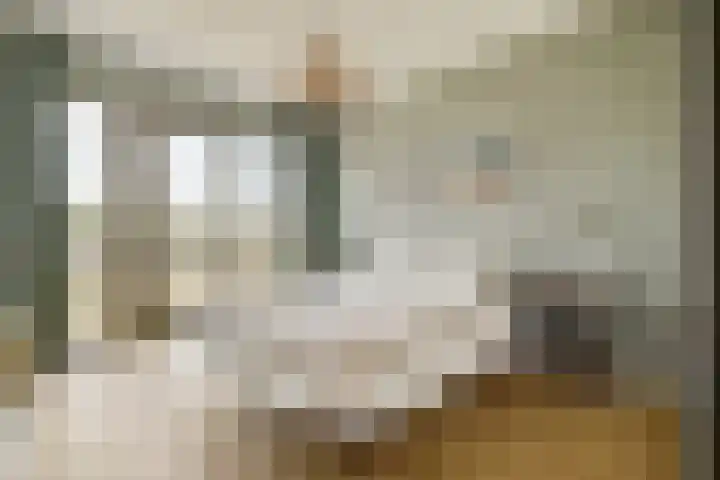 Muiderlaan 355 Amsterdam thumbnail 16