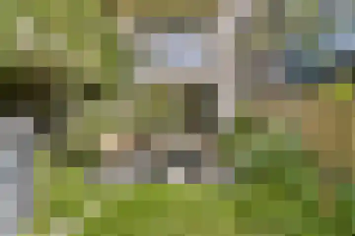 Muiderlaan 355 Amsterdam thumbnail 27