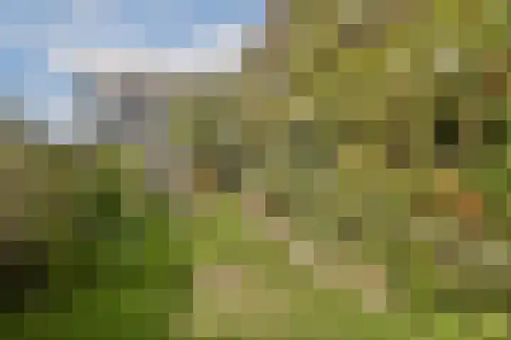 Muiderlaan 355 Amsterdam thumbnail 28