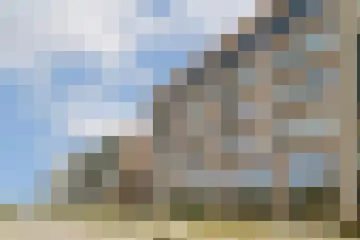 Muiderlaan 355 Amsterdam thumbnail 29