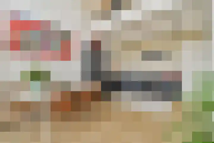 Muiderlaan 355 Amsterdam thumbnail 5