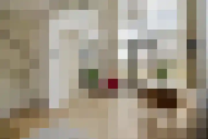 Muiderlaan 355 Amsterdam thumbnail 7