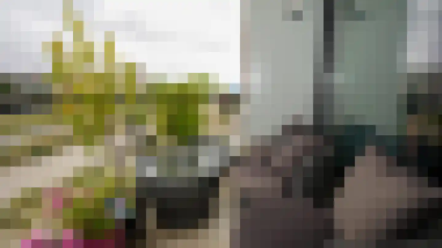 Muiderlaan 371 Amsterdam thumbnail 15