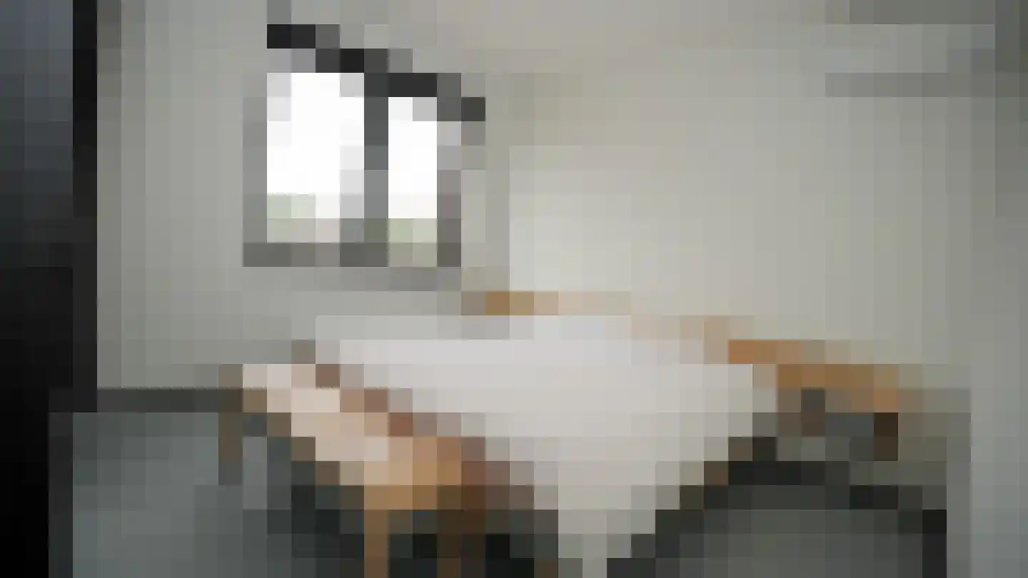 Muiderlaan 371 Amsterdam thumbnail 16