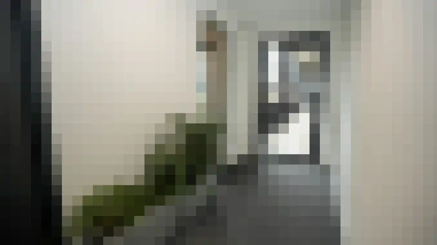 Muiderlaan 371 Amsterdam thumbnail 18