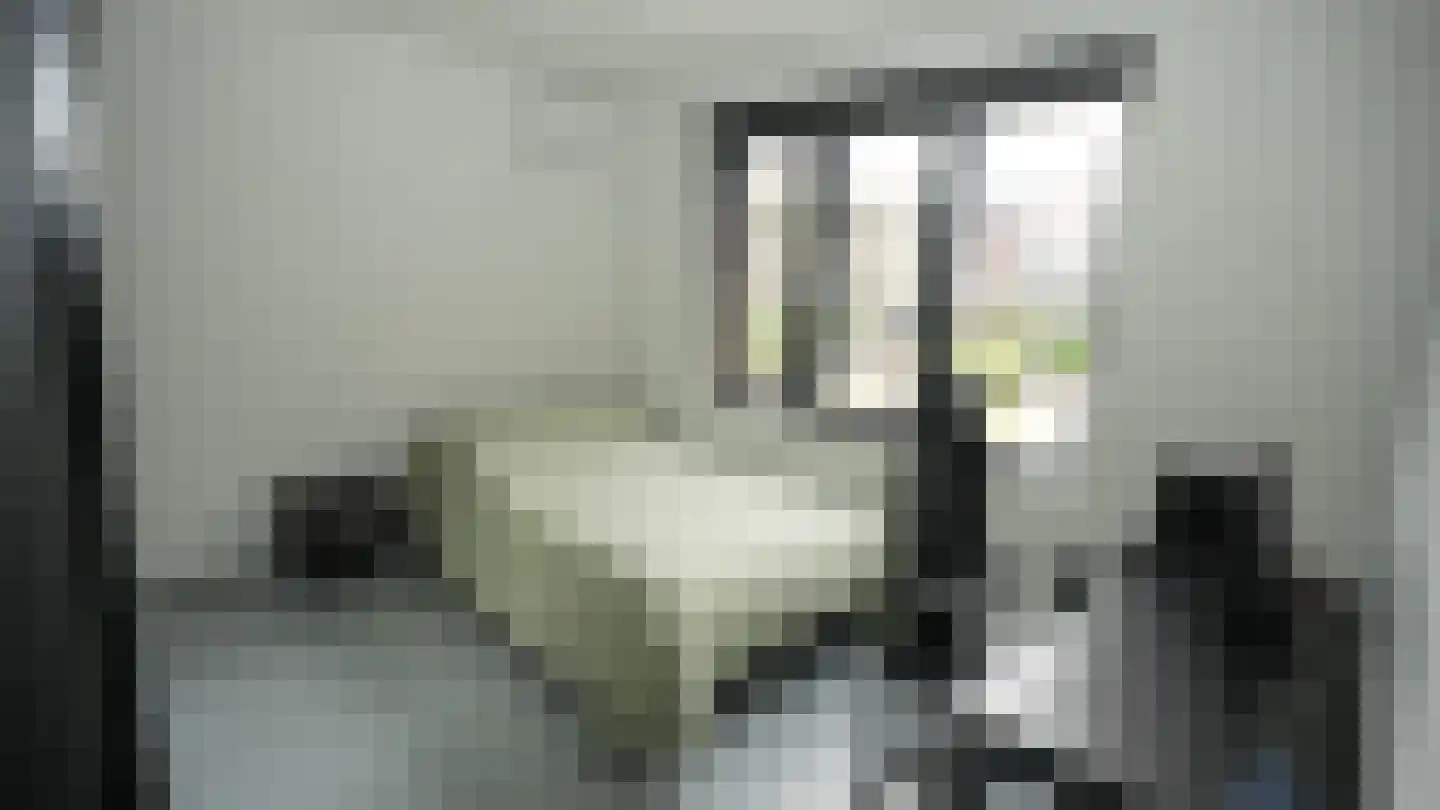 Muiderlaan 371 Amsterdam thumbnail 19