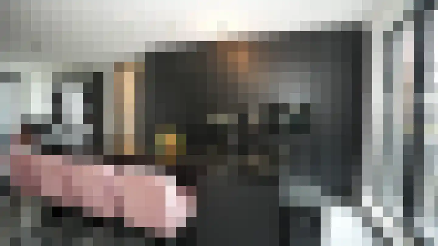 Muiderlaan 371 Amsterdam thumbnail 7