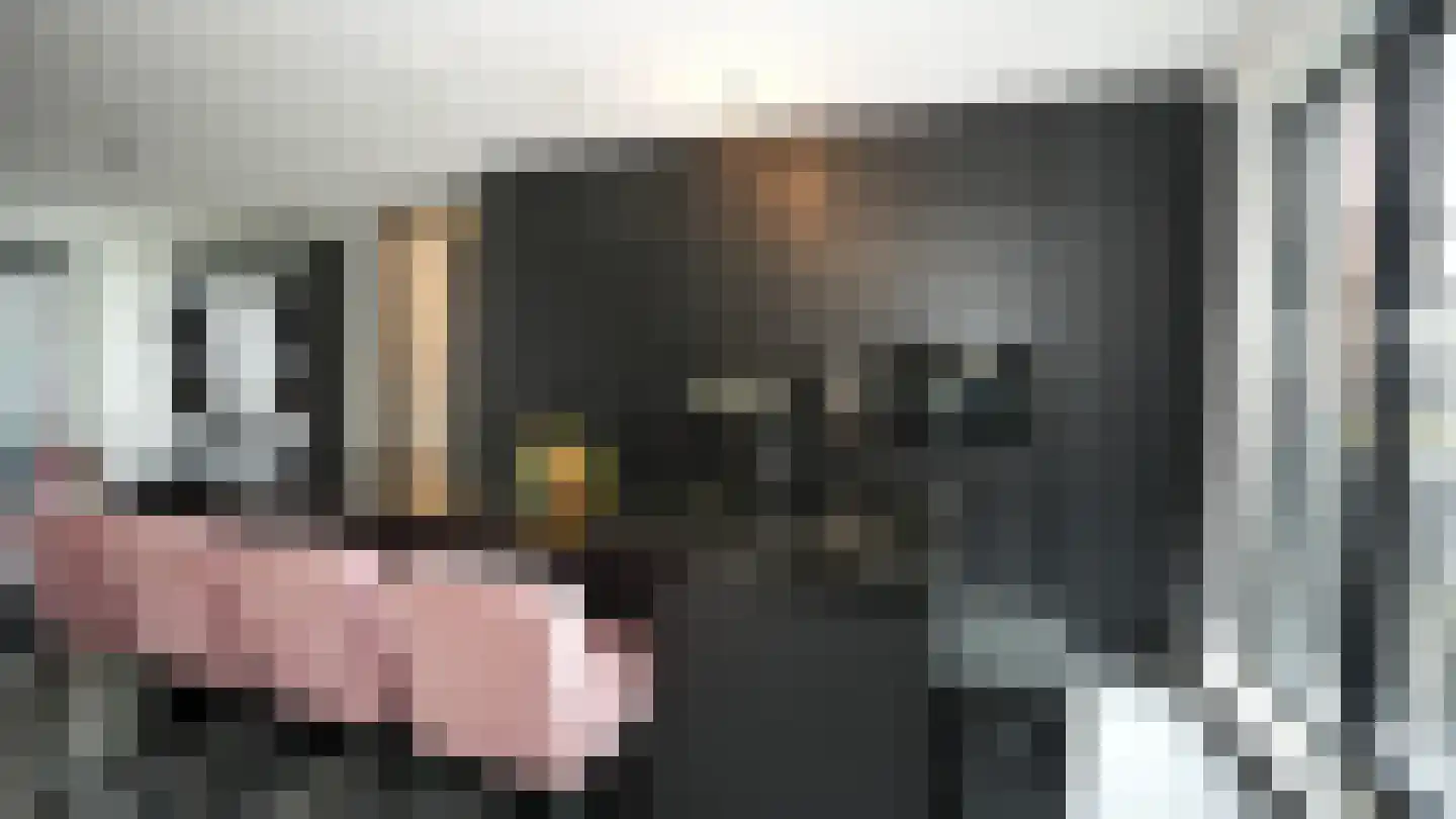 Muiderlaan 371 Amsterdam thumbnail 7