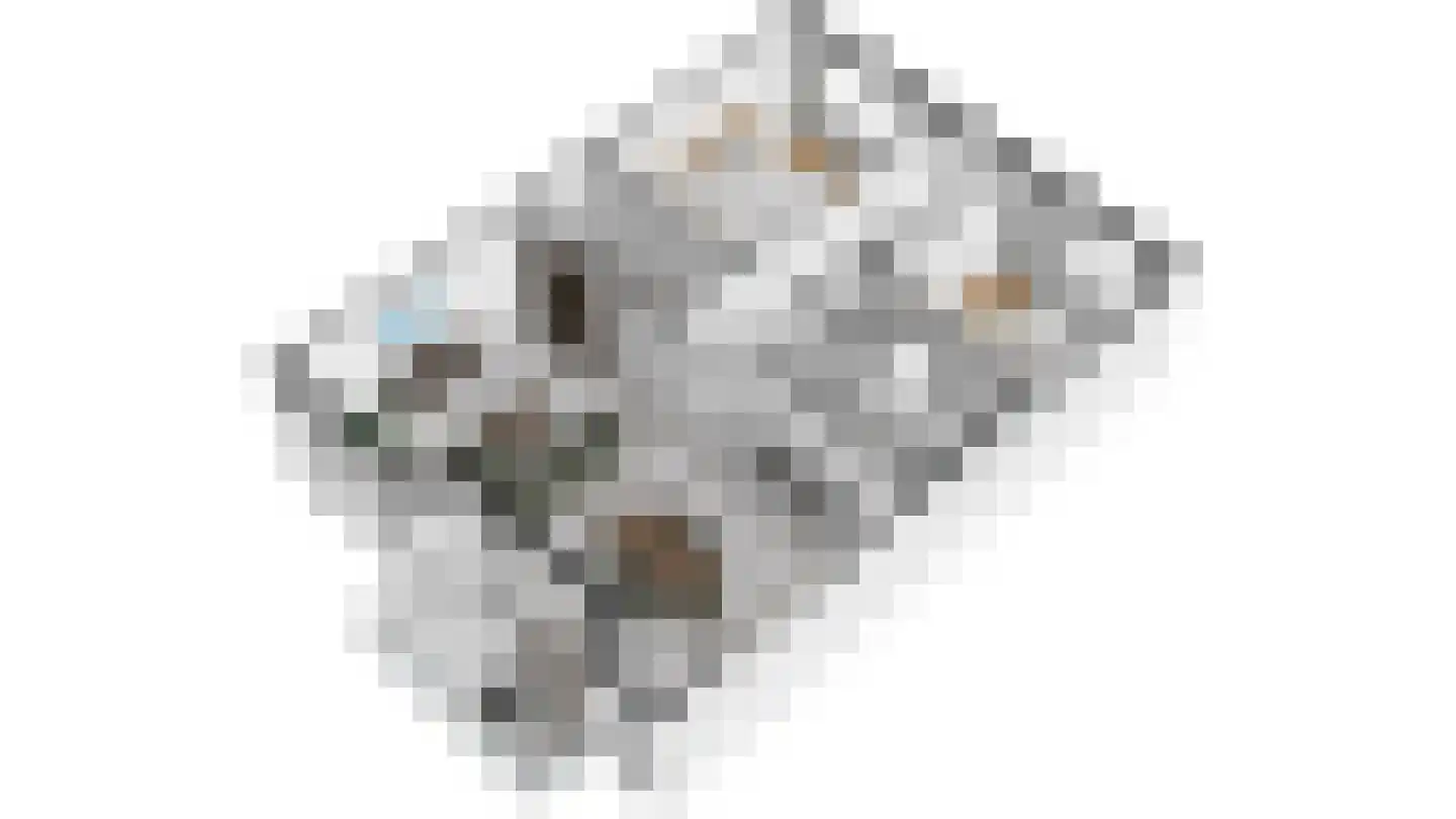 Muiderlaan 391 Amsterdam thumbnail 29