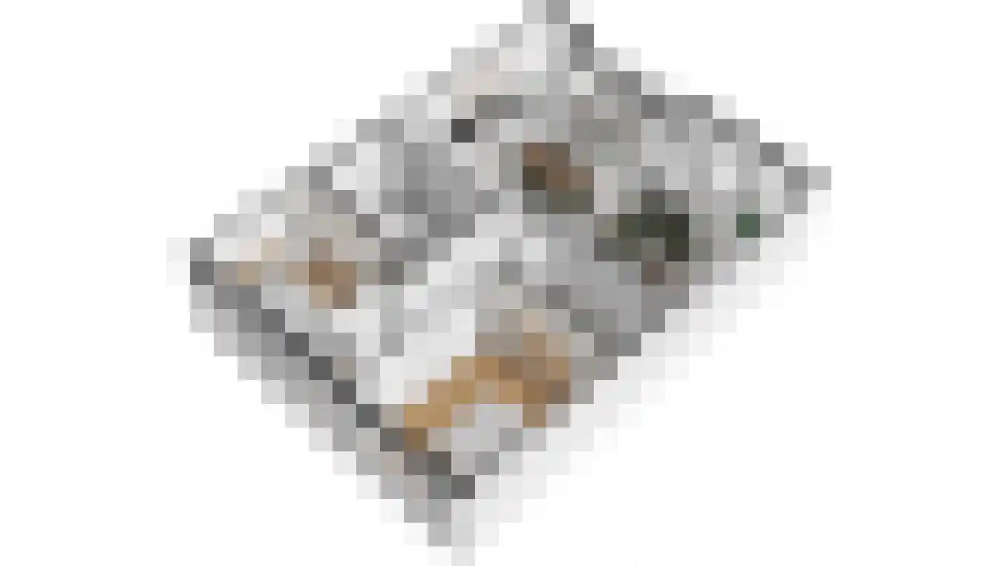Muiderlaan 391 Amsterdam thumbnail 30