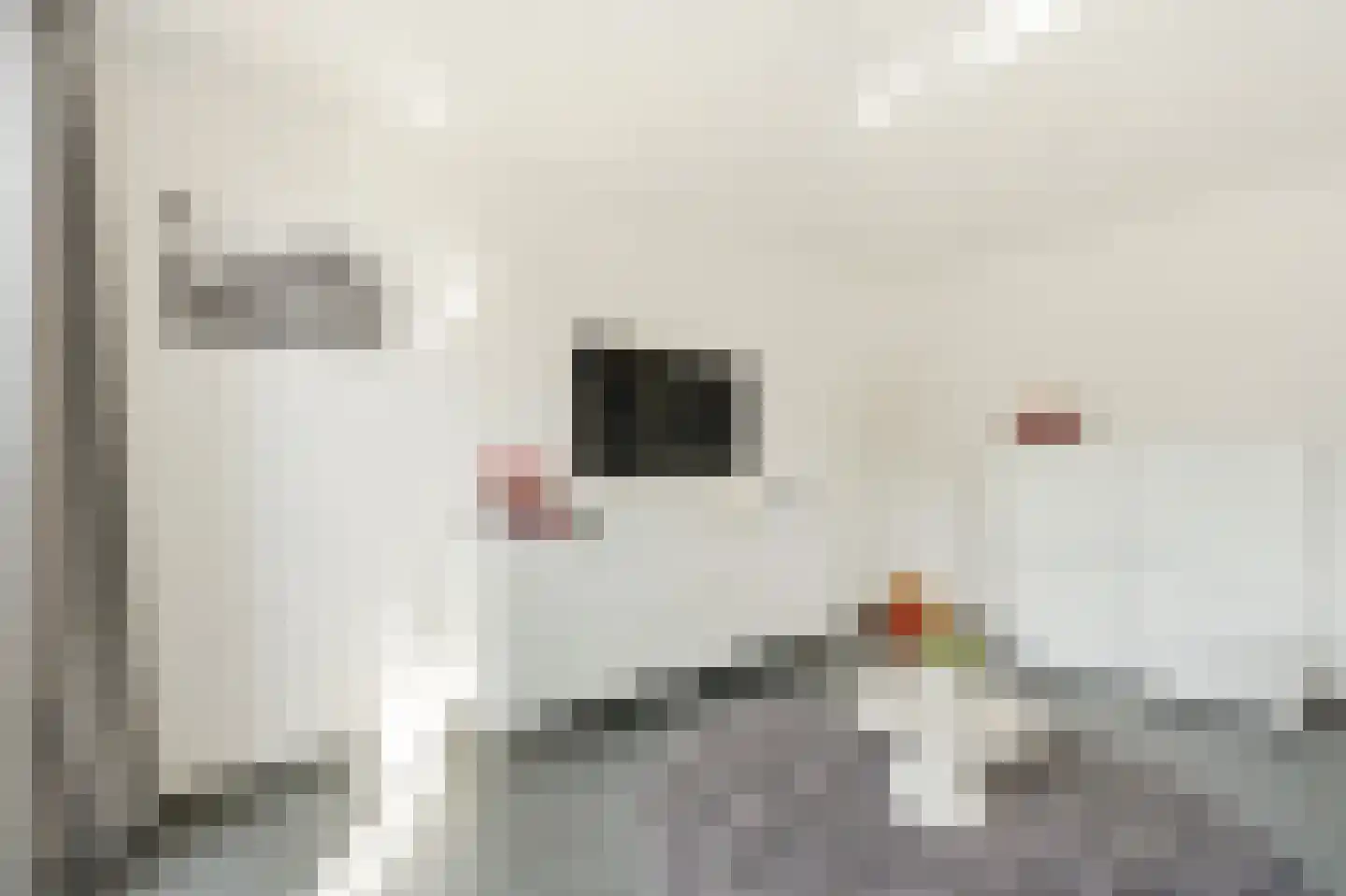 Muiderlaan 391 Amsterdam thumbnail 9