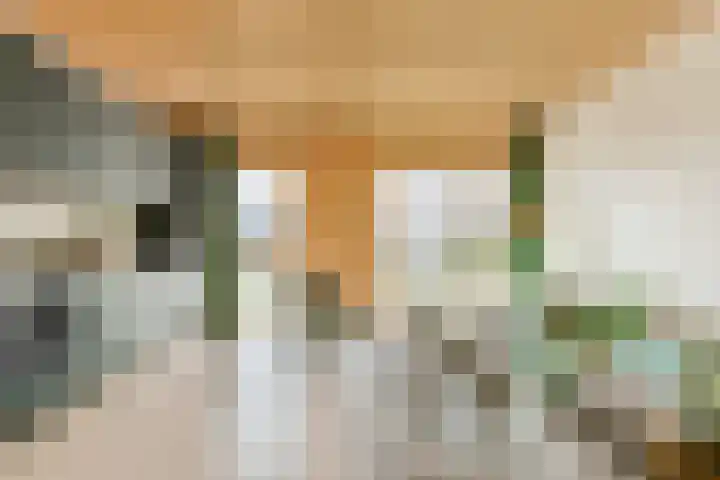 Muiderlaan 409 Amsterdam thumbnail 11