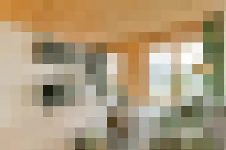 Muiderlaan 409 Amsterdam thumbnail 12