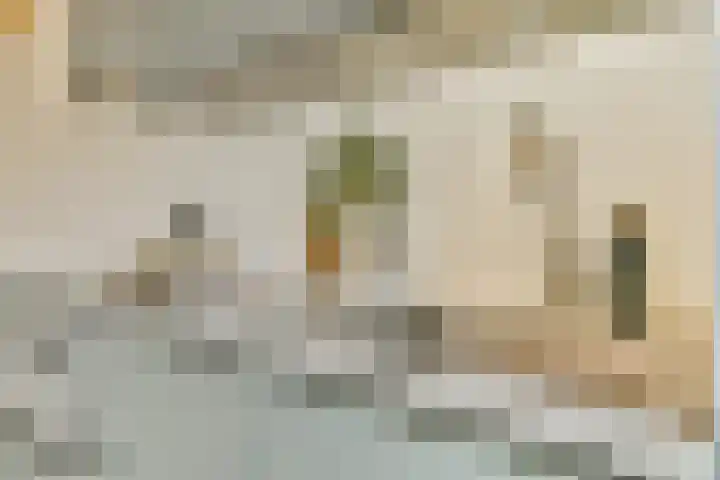 Muiderlaan 409 Amsterdam thumbnail 15