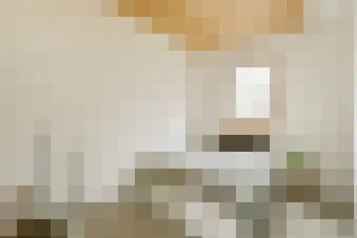 Muiderlaan 409 Amsterdam thumbnail 17