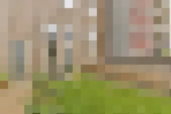 Muiderlaan 409 Amsterdam thumbnail 6