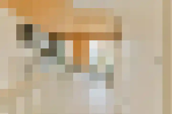 Muiderlaan 409 Amsterdam thumbnail 9