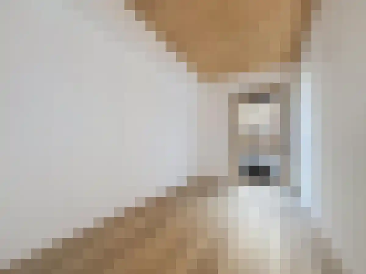 Muiderlaan 421 Amsterdam thumbnail 4