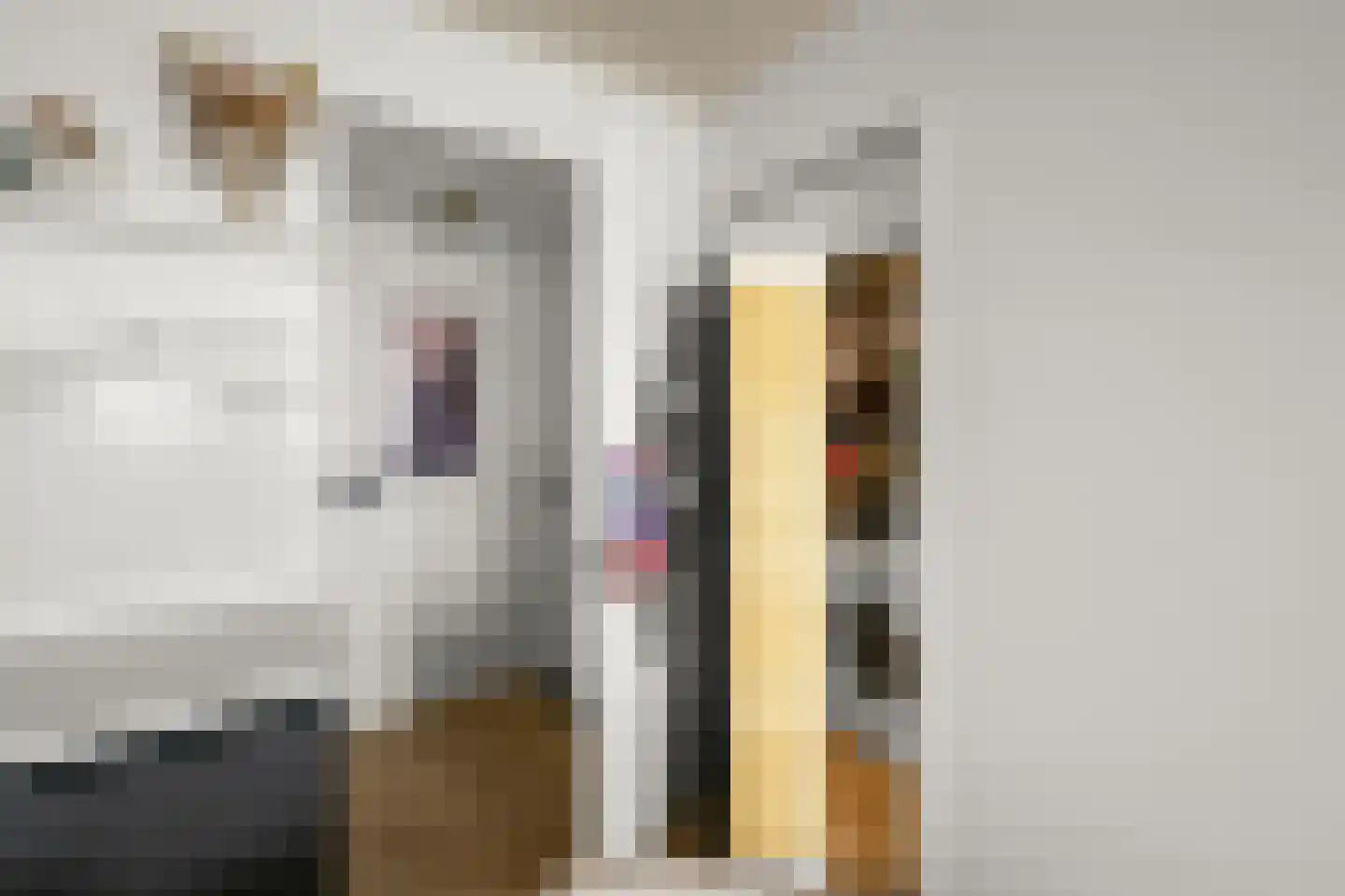 Muiderlaan 425 Amsterdam thumbnail 26