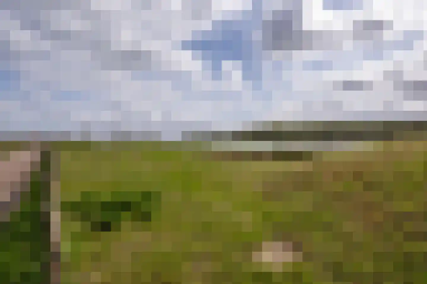Muiderlaan 425 Amsterdam thumbnail 48