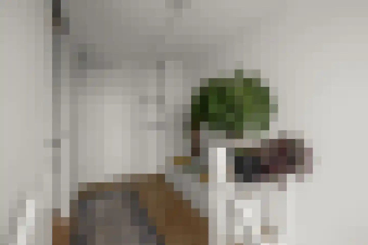 Muiderlaan 425 Amsterdam thumbnail 7