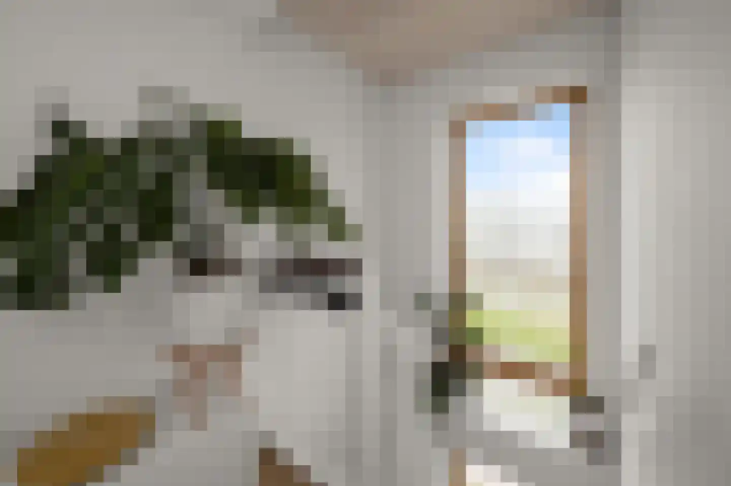 Muiderlaan 425 Amsterdam thumbnail 8