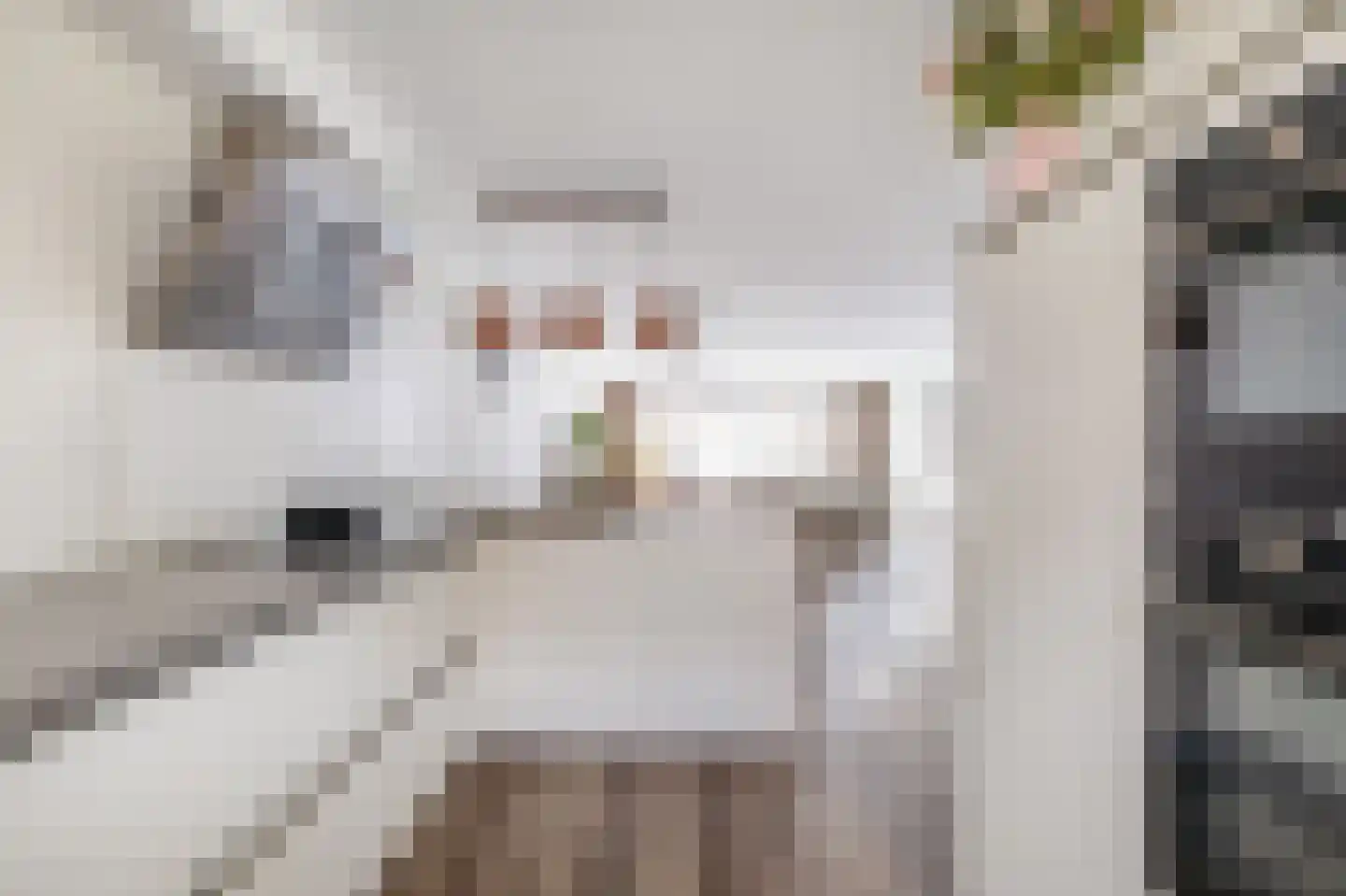 Muiderpoort 39 Nieuw-Vennep thumbnail 15