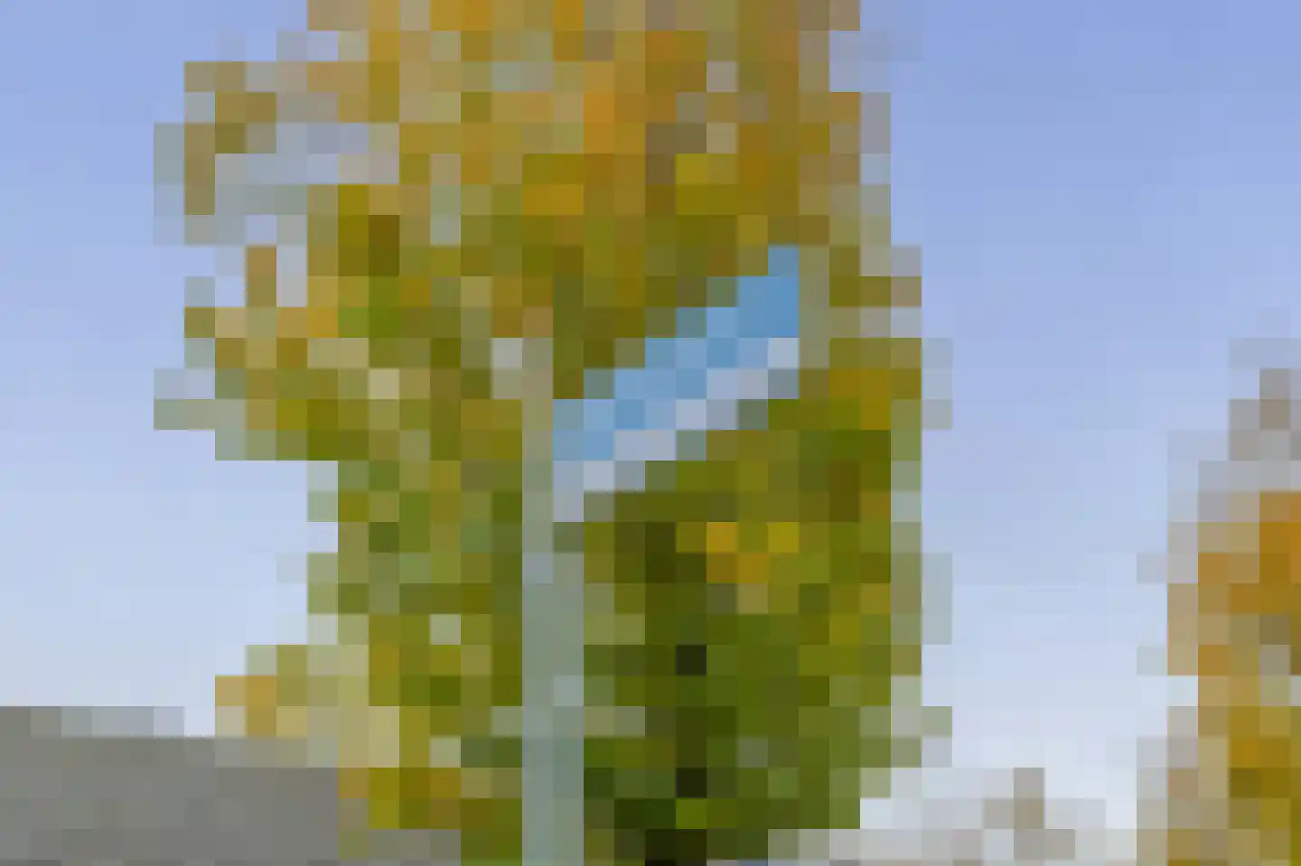 Muiderpoort 39 Nieuw-Vennep thumbnail 35