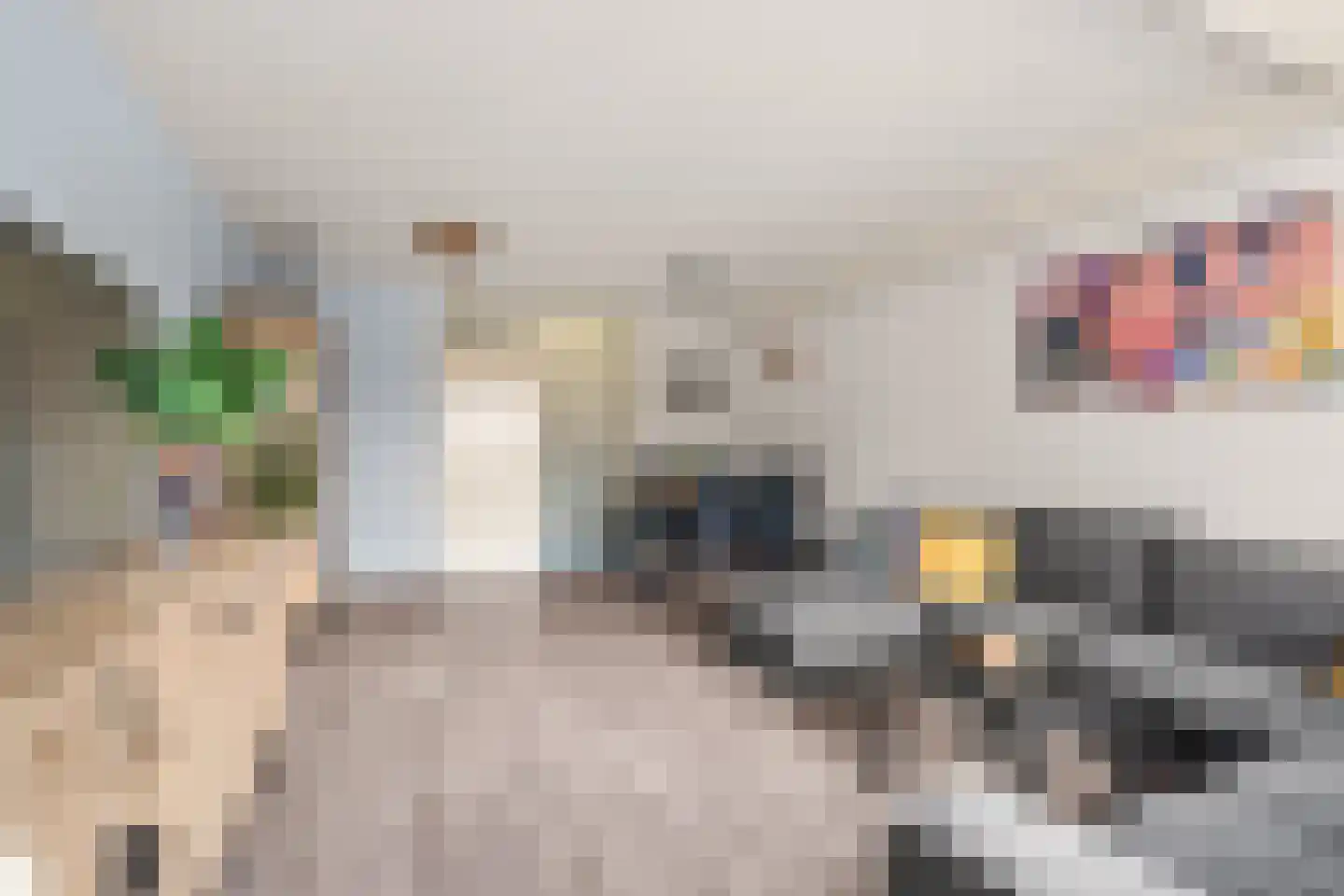Muiderschans 121 Nieuwegein thumbnail 12