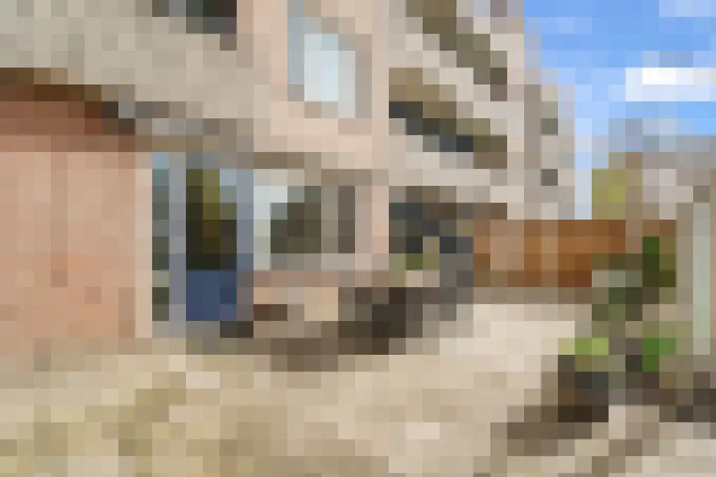 Muiderschans 121 Nieuwegein thumbnail 17