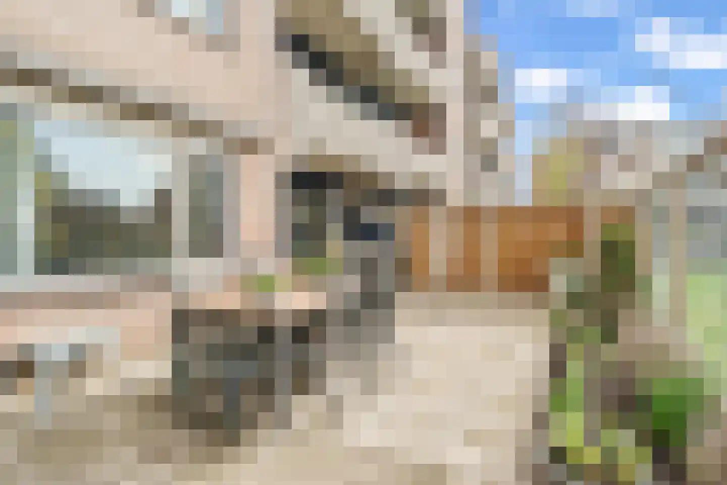 Muiderschans 121 Nieuwegein thumbnail 18