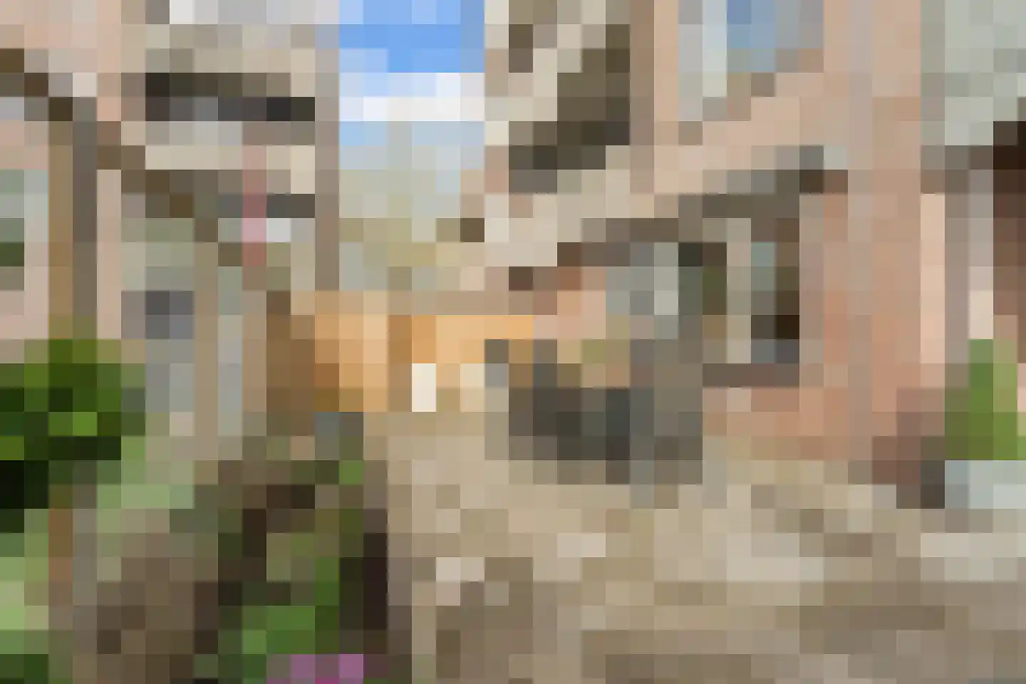Muiderschans 121 Nieuwegein thumbnail 19