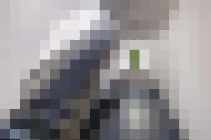 Muiderschans 15 Nieuwegein thumbnail 30