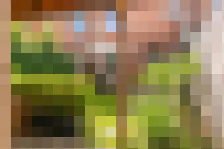Muiderschans 20 A Nieuwegein thumbnail 33