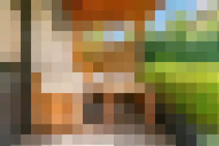 Muiderschans 20 A Nieuwegein thumbnail 34