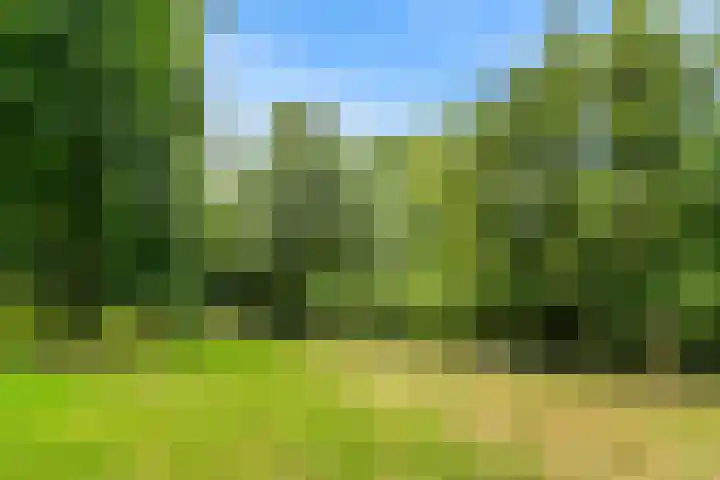 Muiderschans 20 A Nieuwegein thumbnail 48