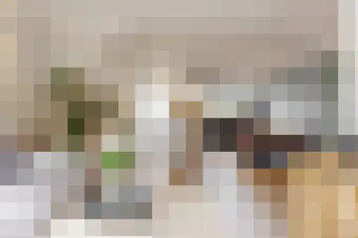 Muiderschans 20 A Nieuwegein thumbnail 7