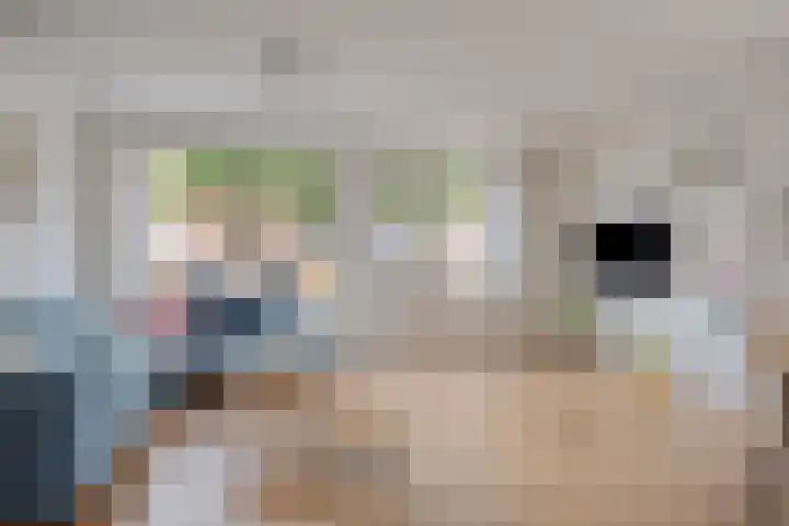 Muiderschans 22 A Nieuwegein thumbnail 4