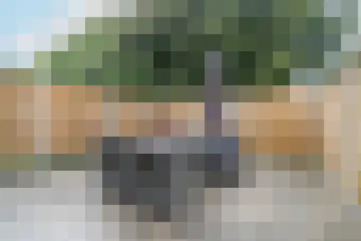 Muiderschans 269 Nieuwegein thumbnail 12